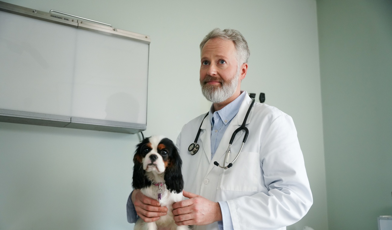 Image de l'article Cette comédienne connue tiendra un rôle neuroatypique dans la série «Temps de chien »